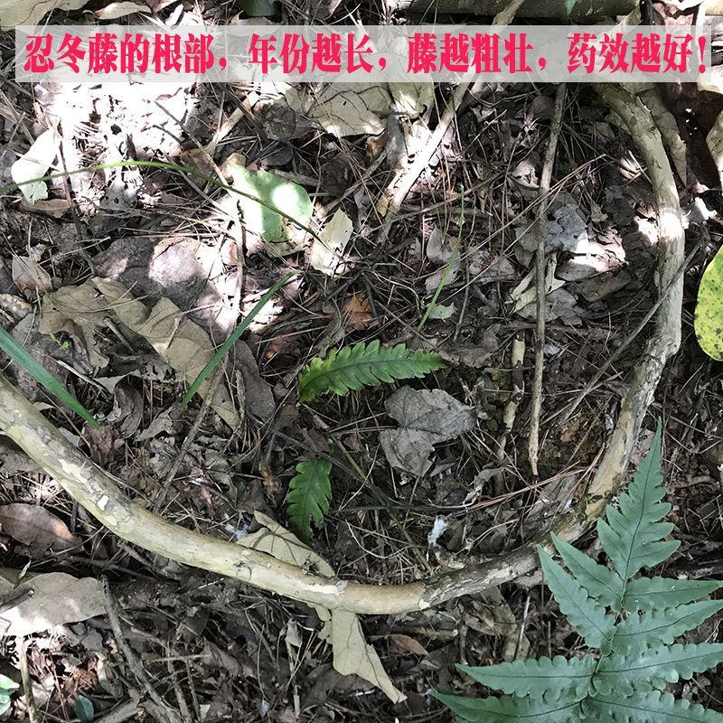 野生忍冬藤金银花根老藤干金银花藤根宝宝洗澡草药