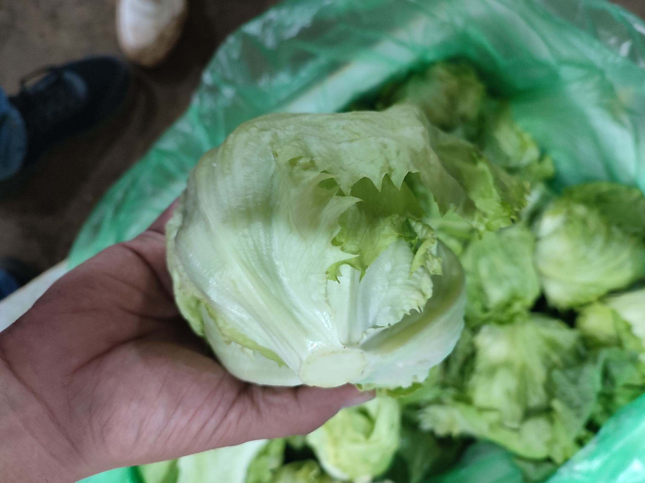 减肥拌生菜成品图