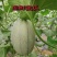 山东小蜜25号大量上市专业代办质量三包对接线上