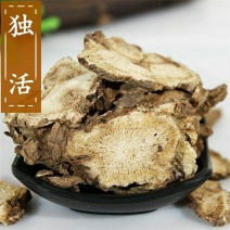 独活中药材四川野生新货独活片独摇草长生草精选