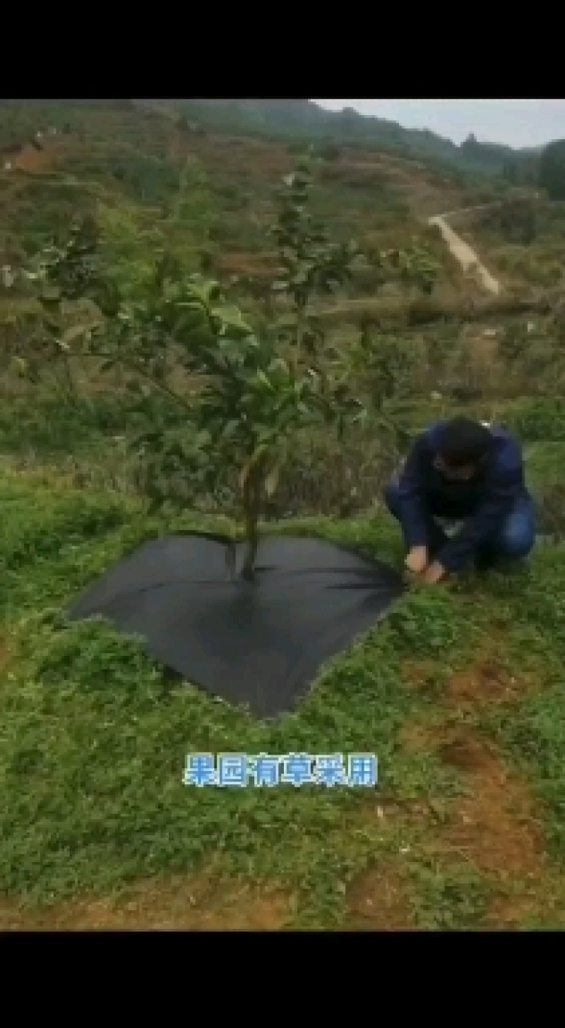 防草布