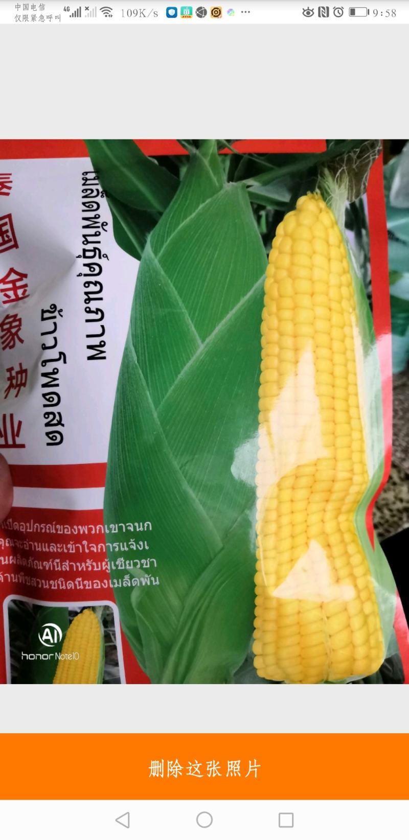 高产优质，杂交种子