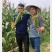 高产优质，杂交种子