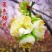 带花苞梅花腊梅红梅绿梅盆栽地栽耐寒耐旱四季开花包