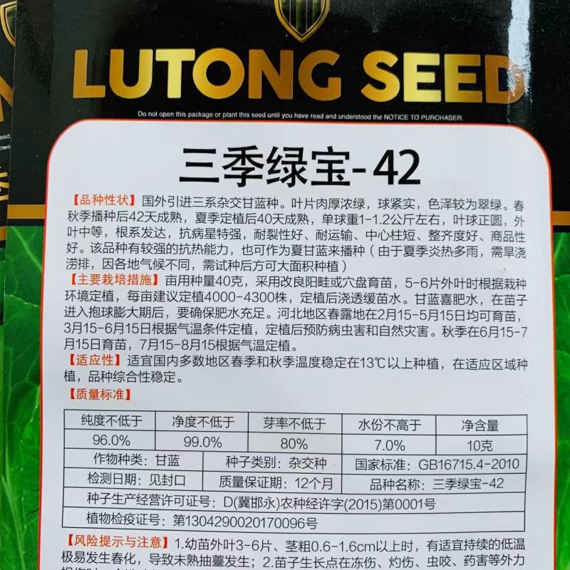 春夏秋三季甘蓝种子国外引进一代杂交结球甘蓝种籽圆包菜种子