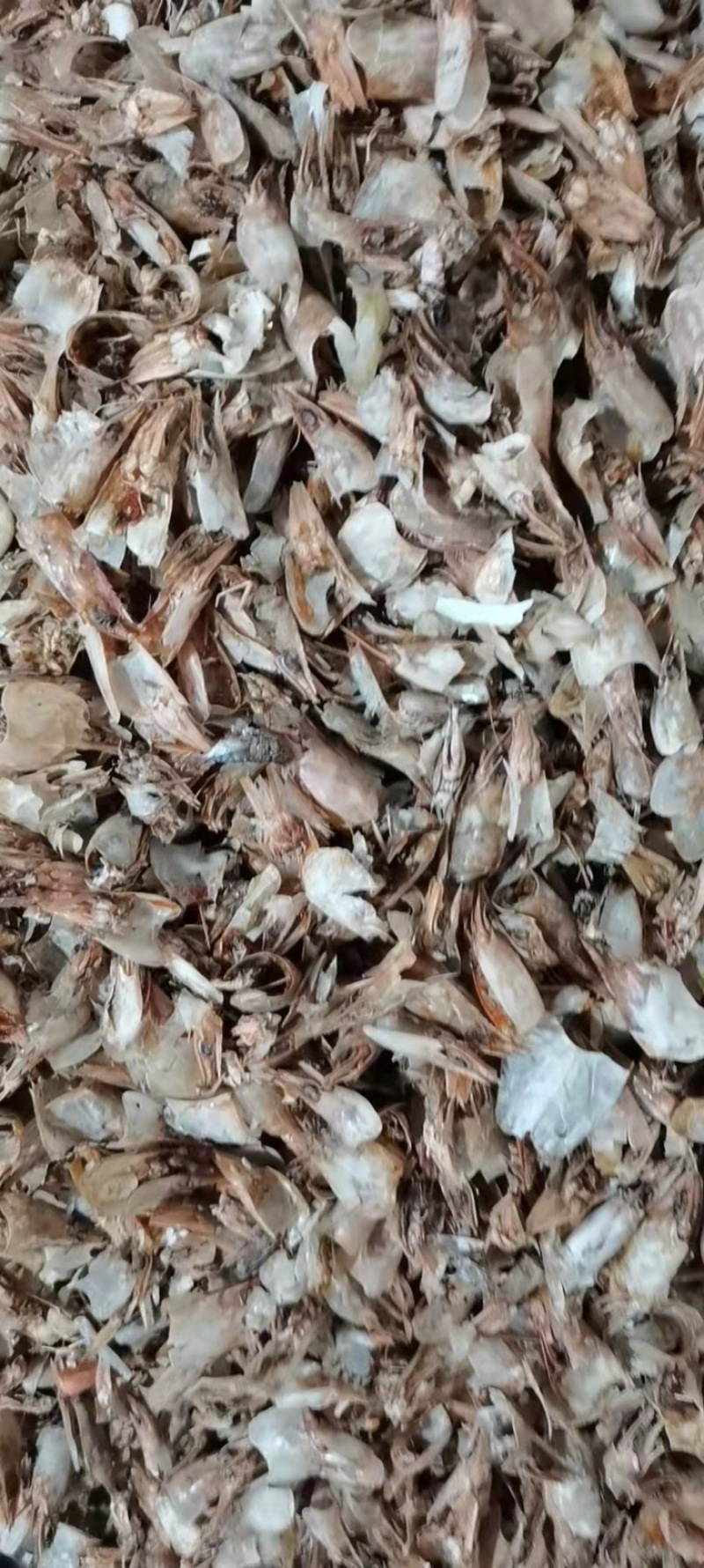 虾壳虾头加工虾粉高蛋白饲料原料常年加工大量生产全国发货