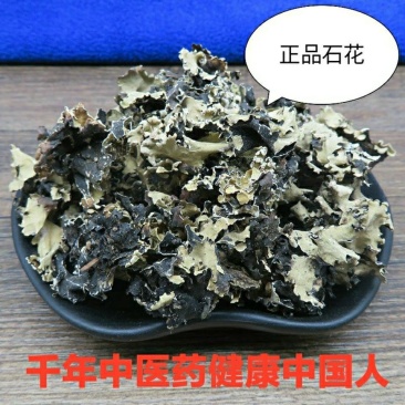 石花石衣梅藓乳花地衣货真价实诚信经营