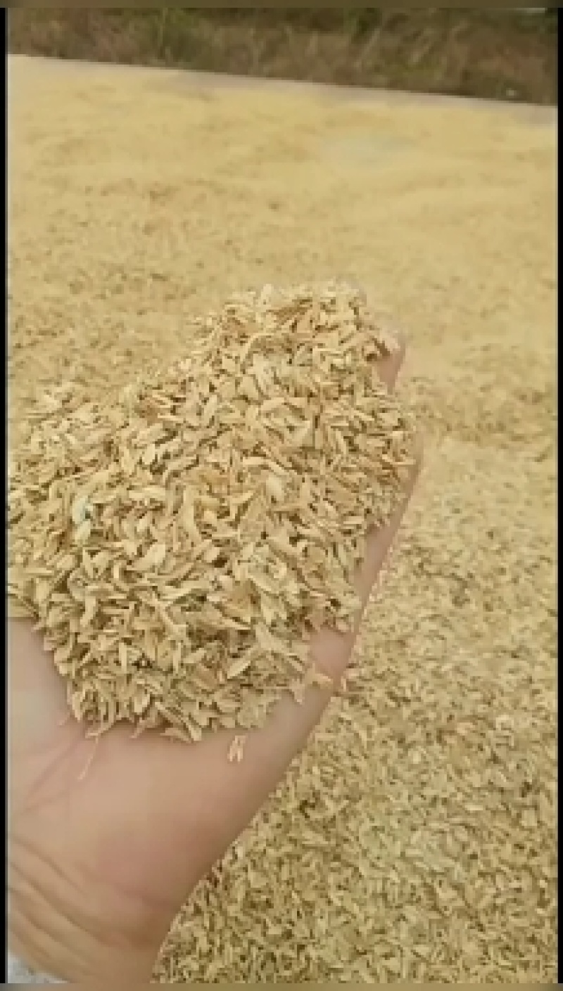 稻壳