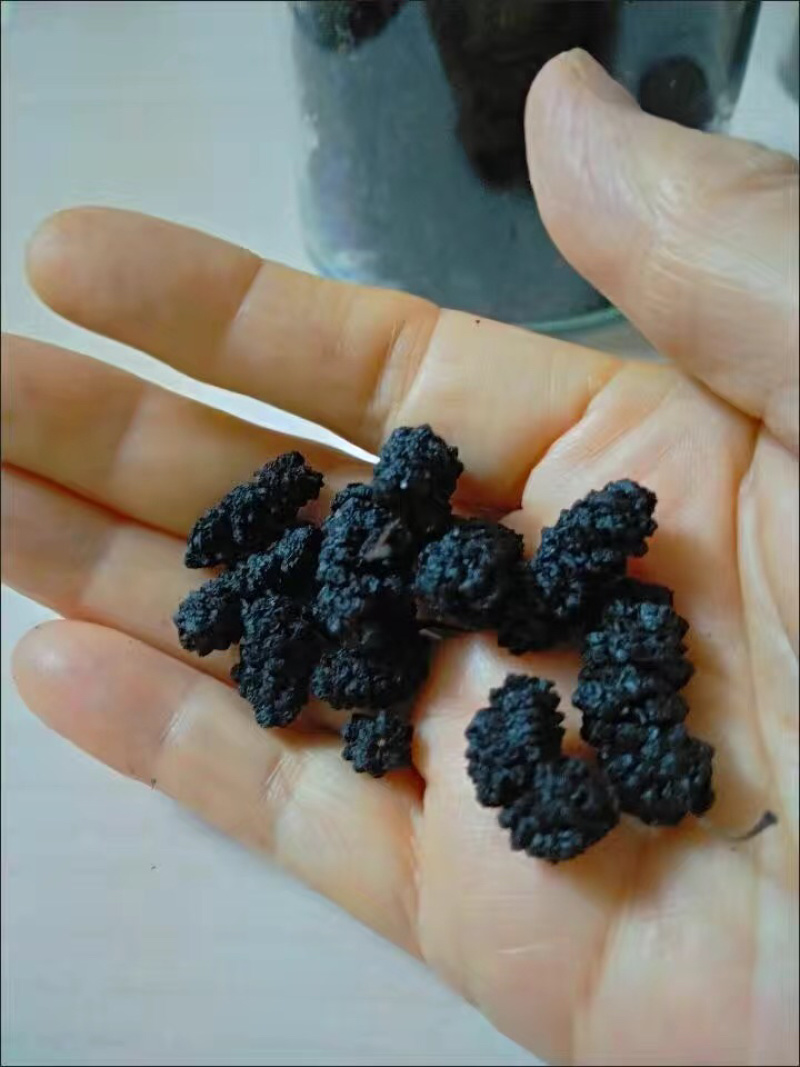 【2斤30元包邮】桑葚干桑葚茶可泡水可煮饭