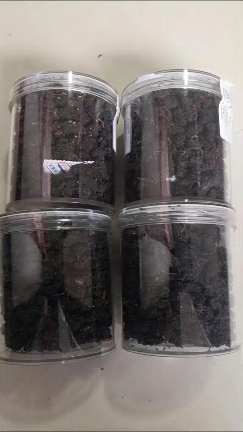 【2斤30元包邮】桑葚干桑葚茶可泡水可煮饭
