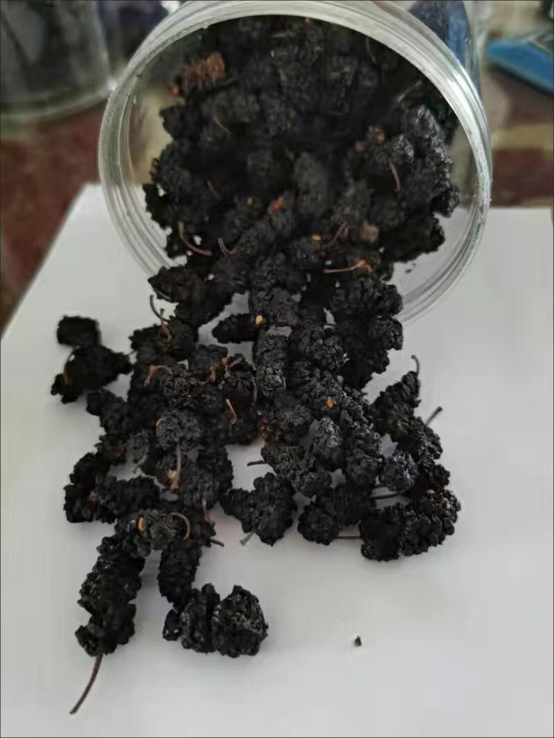 【2斤30元包邮】桑葚干桑葚茶可泡水可煮饭