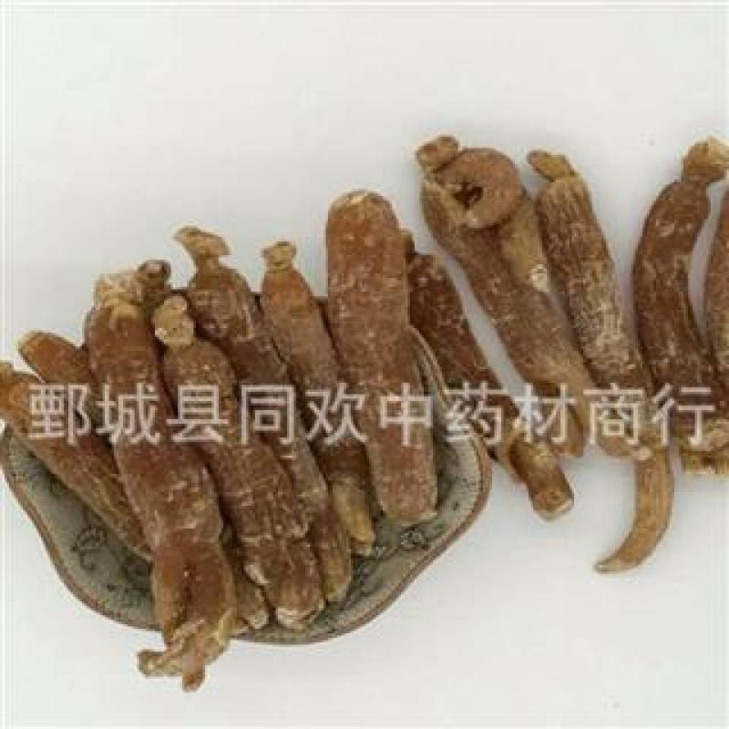 【30支低糖红参】@【同欢药材】中药材批发供应规格齐全