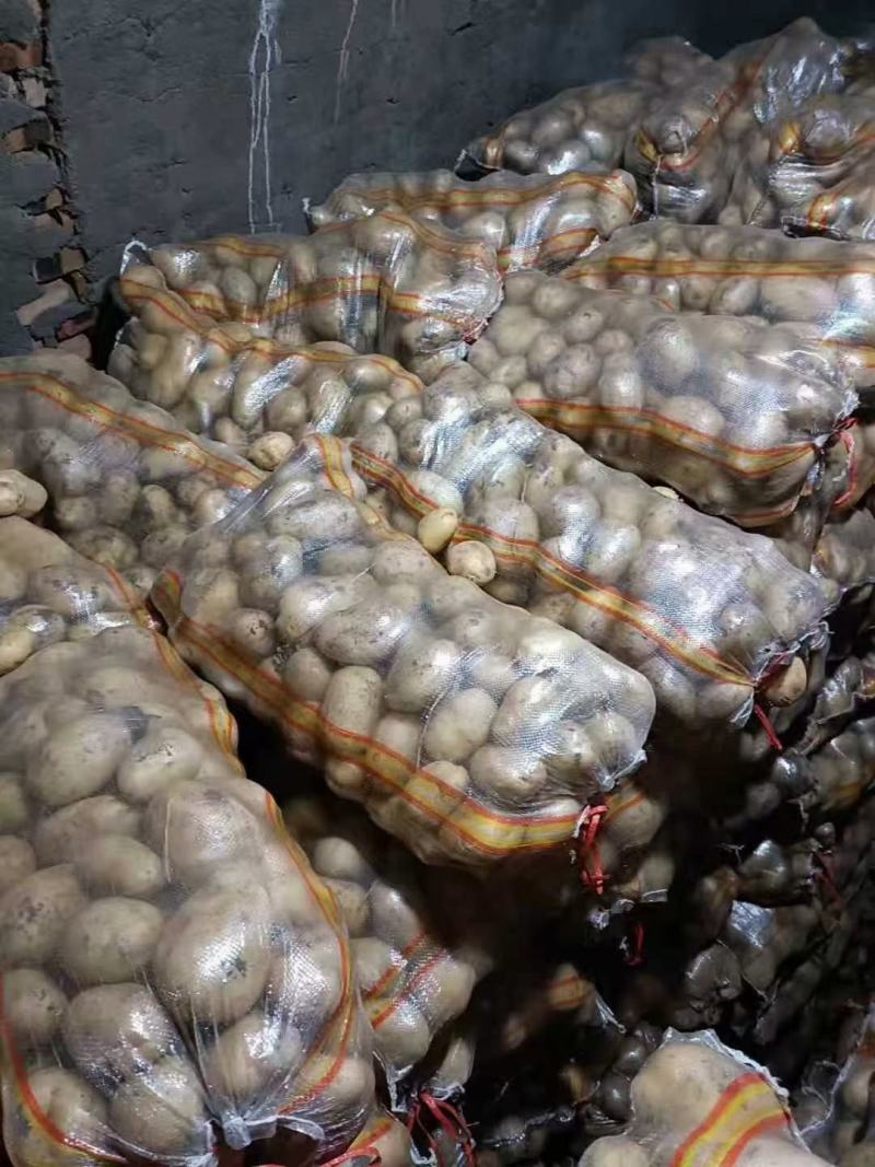 武川土豆大量出库，价格便宜，质量保证，有需要的老板请联系