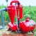 过滤施肥罐农田灌溉过滤器网式过滤器手动砂石过滤器