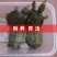 甲鱼苗直接放塘苗煮菜大甲鱼各种规格尺寸