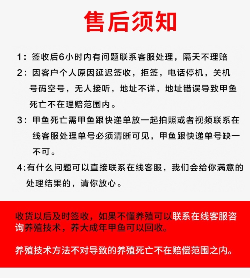 甲鱼苗直接放塘苗煮菜大甲鱼各种规格尺寸