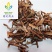 【去毛生骨碎补】@【同欢药材】中药材批发供应规格齐全
