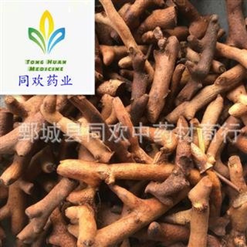 【炒骨碎补炒毛姜】@【同欢药材】中药材批发供应