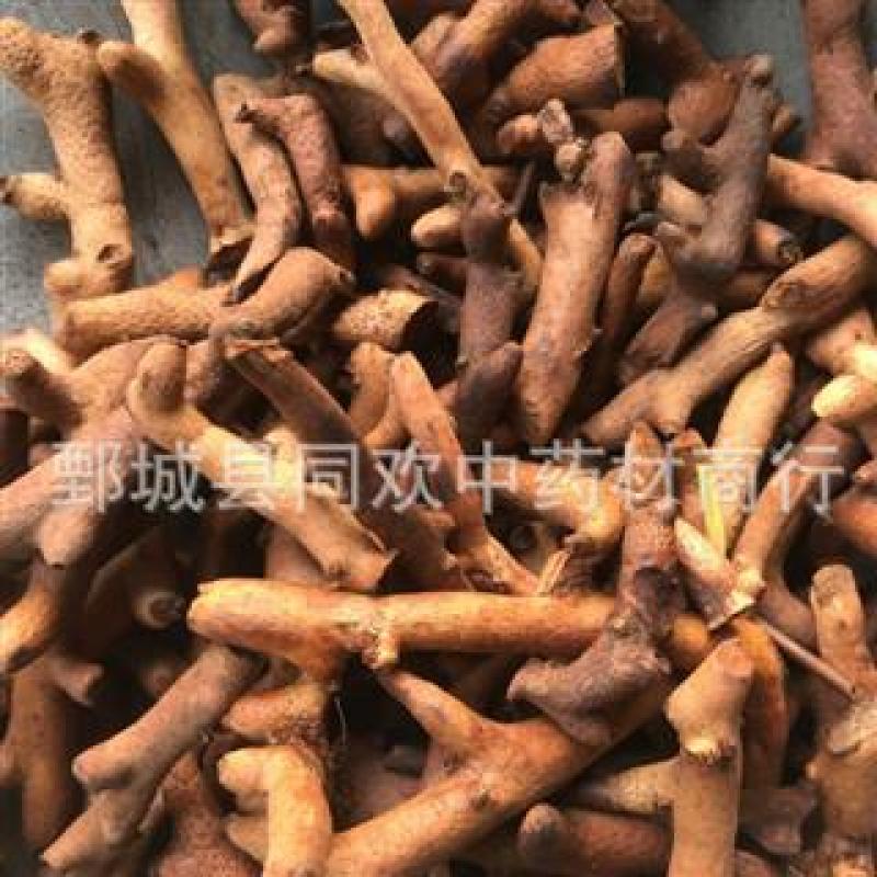 【炒骨碎补炒毛姜】@【同欢药材】中药材批发供应