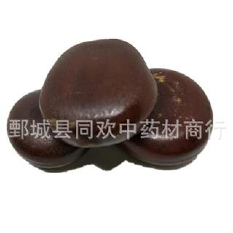 【过江龙子木腰子】@【同欢药材】中药材批发供应规格齐全