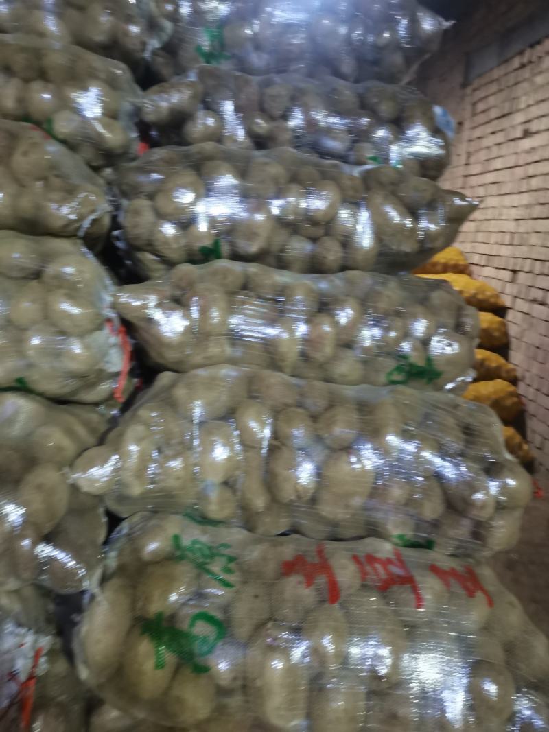 甘肃定西沙面土豆黄心土豆新鲜马铃薯产地直发电联