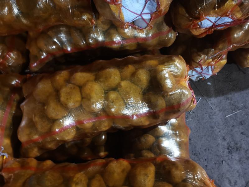 甘肃定西沙面土豆黄心土豆新鲜马铃薯产地直发电联