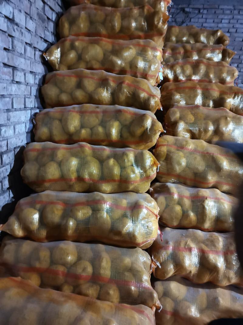 甘肃定西沙面土豆黄心土豆新鲜马铃薯产地直发电联