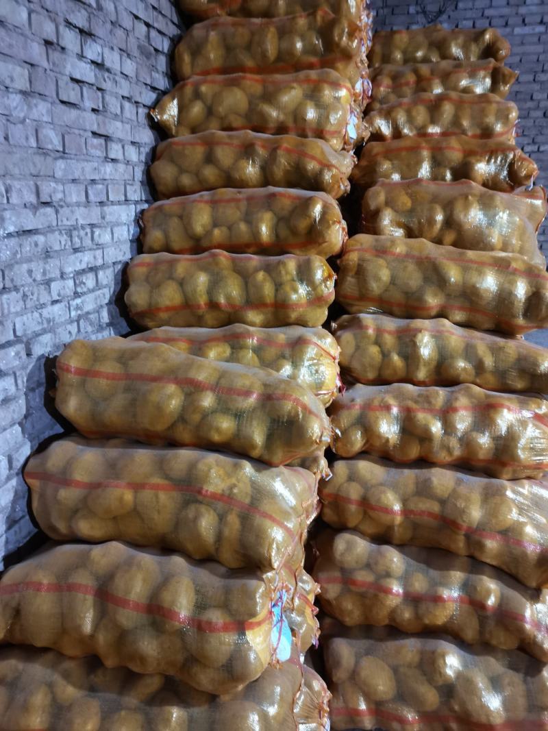 甘肃定西沙面土豆黄心土豆新鲜马铃薯产地直发电联