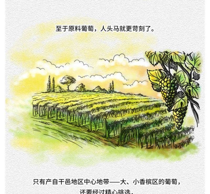 洋酒零售与批发品质保证可批发可零售支持各个渠道验证保真