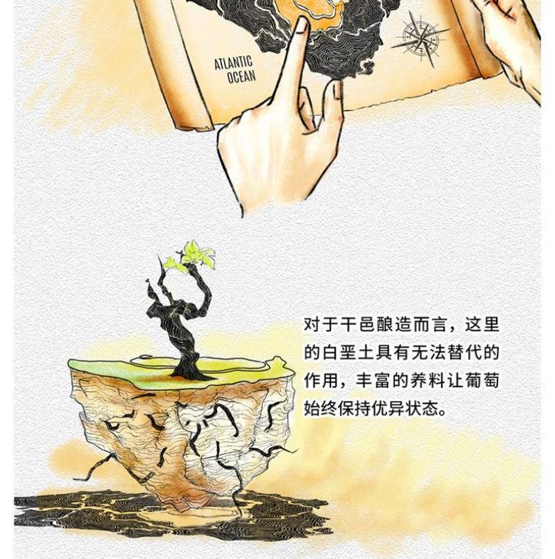 洋酒零售与批发品质保证可批发可零售支持各个渠道验证保真