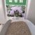 霍香蓟种子蓝花冠藿香蓟花籽盆栽四季播易种景观地被植物花