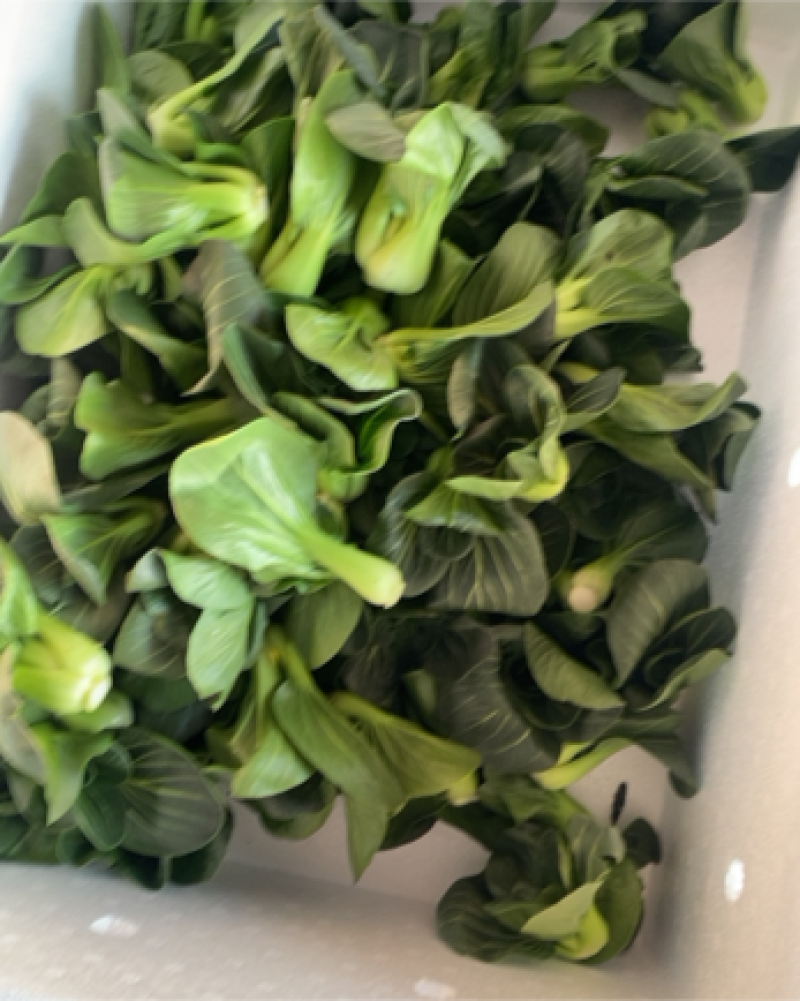 青菜