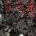 赤芍苗，白芍苗，改良赤芍苗，产量高，成活率高