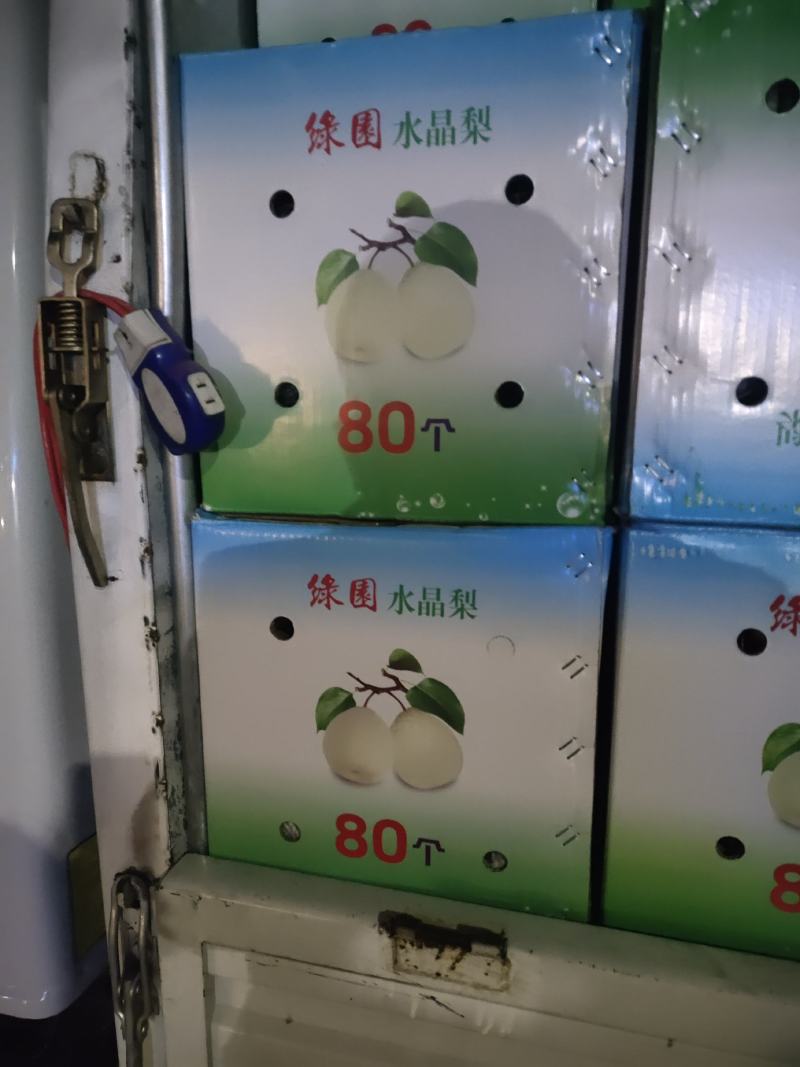 甘肃水晶梨