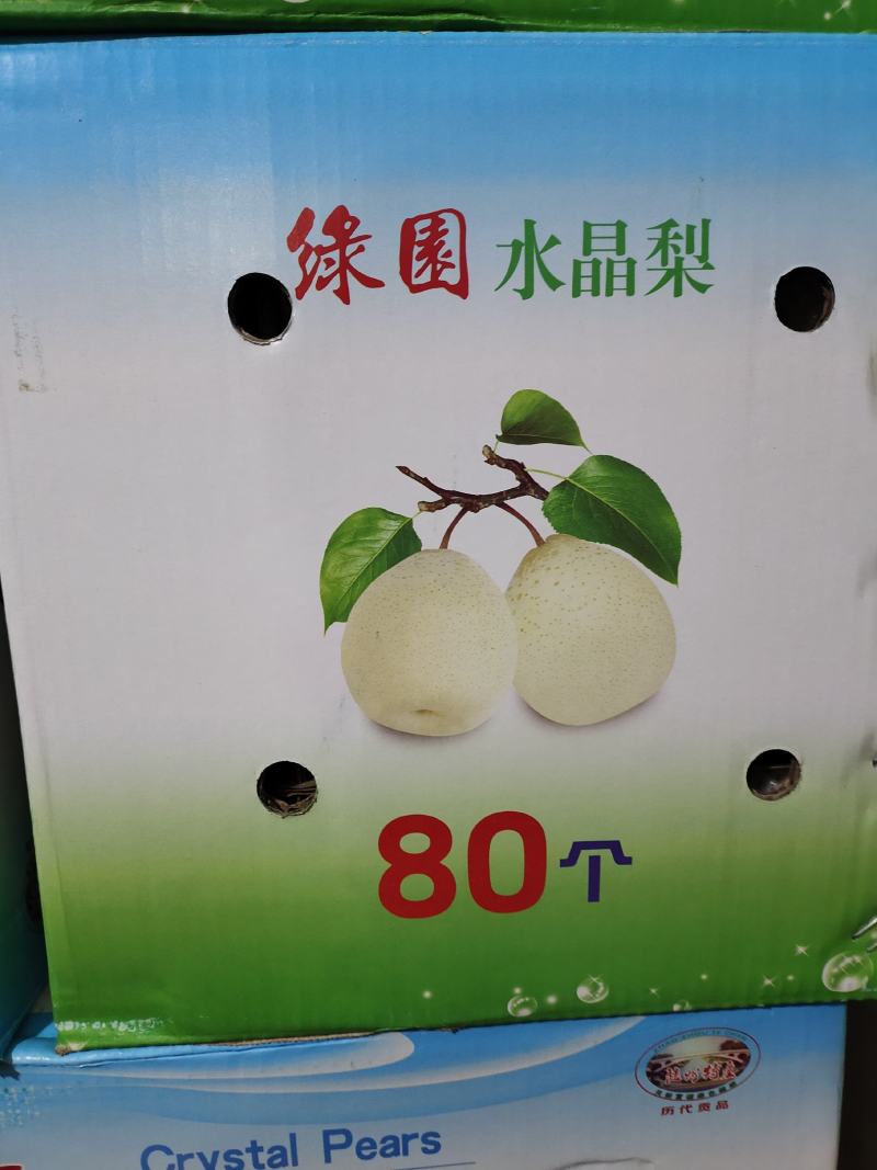甘肃水晶梨