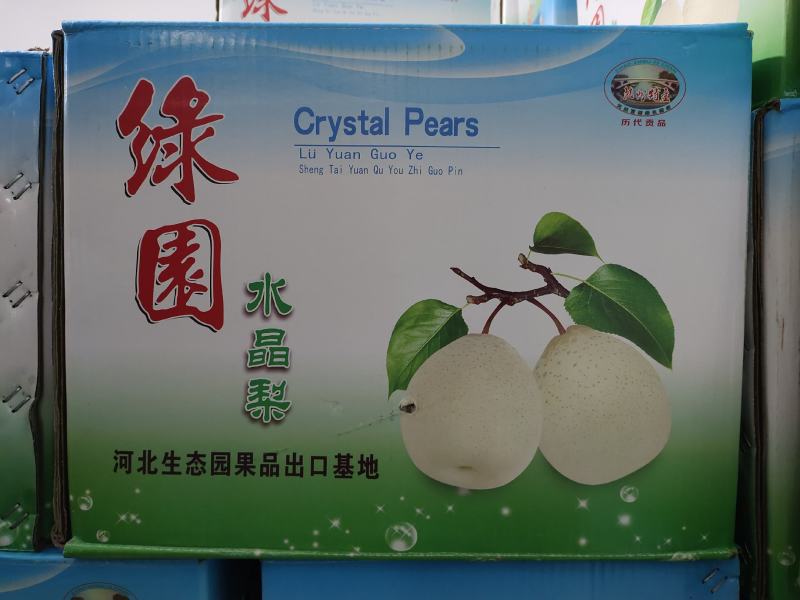 甘肃水晶梨