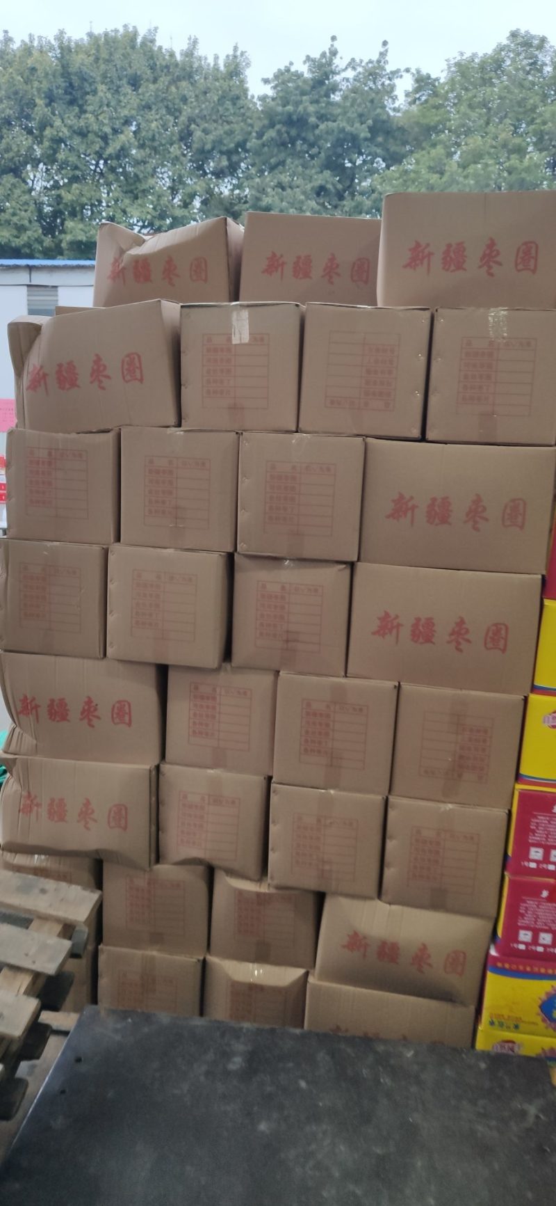 新疆灰枣圈脆枣圈