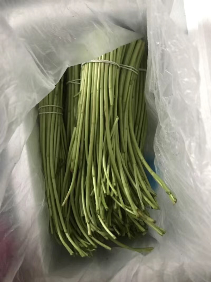 新鲜藜蒿去叶去根芦蒿杆泥蒿当天采摘