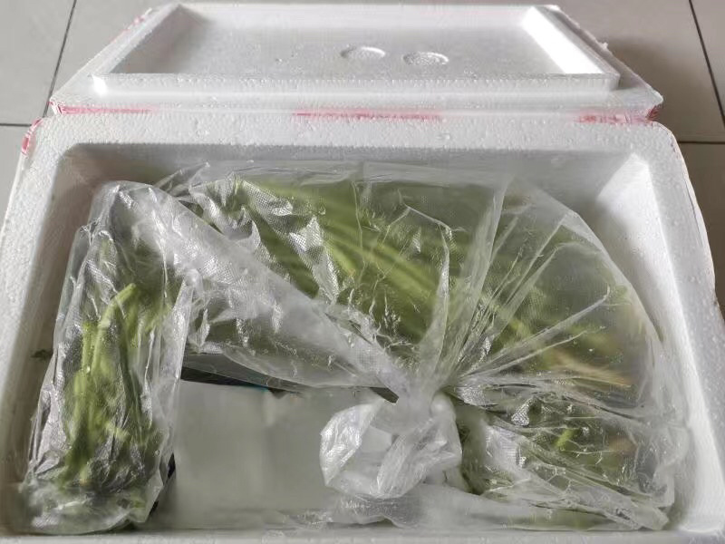 新鲜藜蒿去叶去根芦蒿杆泥蒿当天采摘