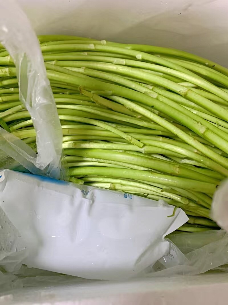新鲜藜蒿去叶去根芦蒿杆泥蒿当天采摘
