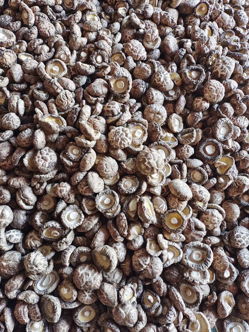 卢氏花菇干香菇农家精选花菇肉厚形圆特价批发包邮