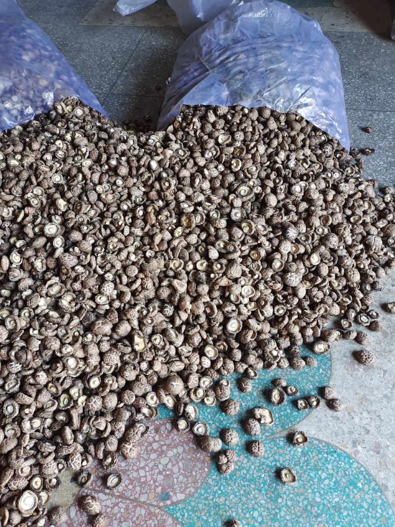 卢氏花菇干香菇农家精选花菇肉厚形圆特价批发包邮