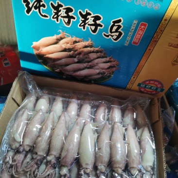 乌仔一盒两斤30个头