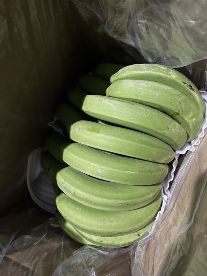 一件代发云南高山丑香蕉