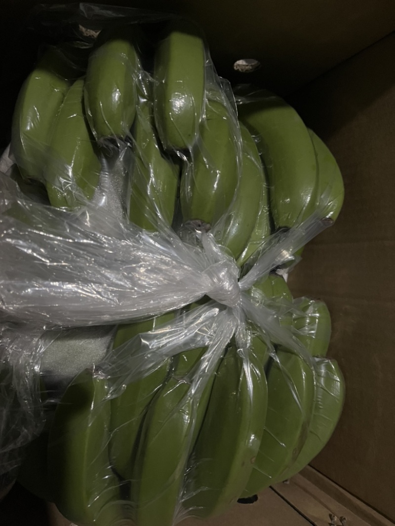 一件代发云南高山丑香蕉