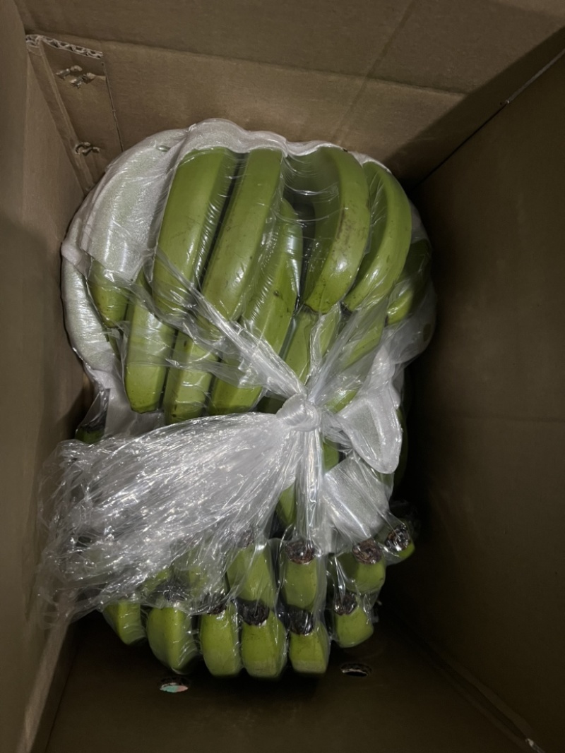 一件代发云南高山丑香蕉