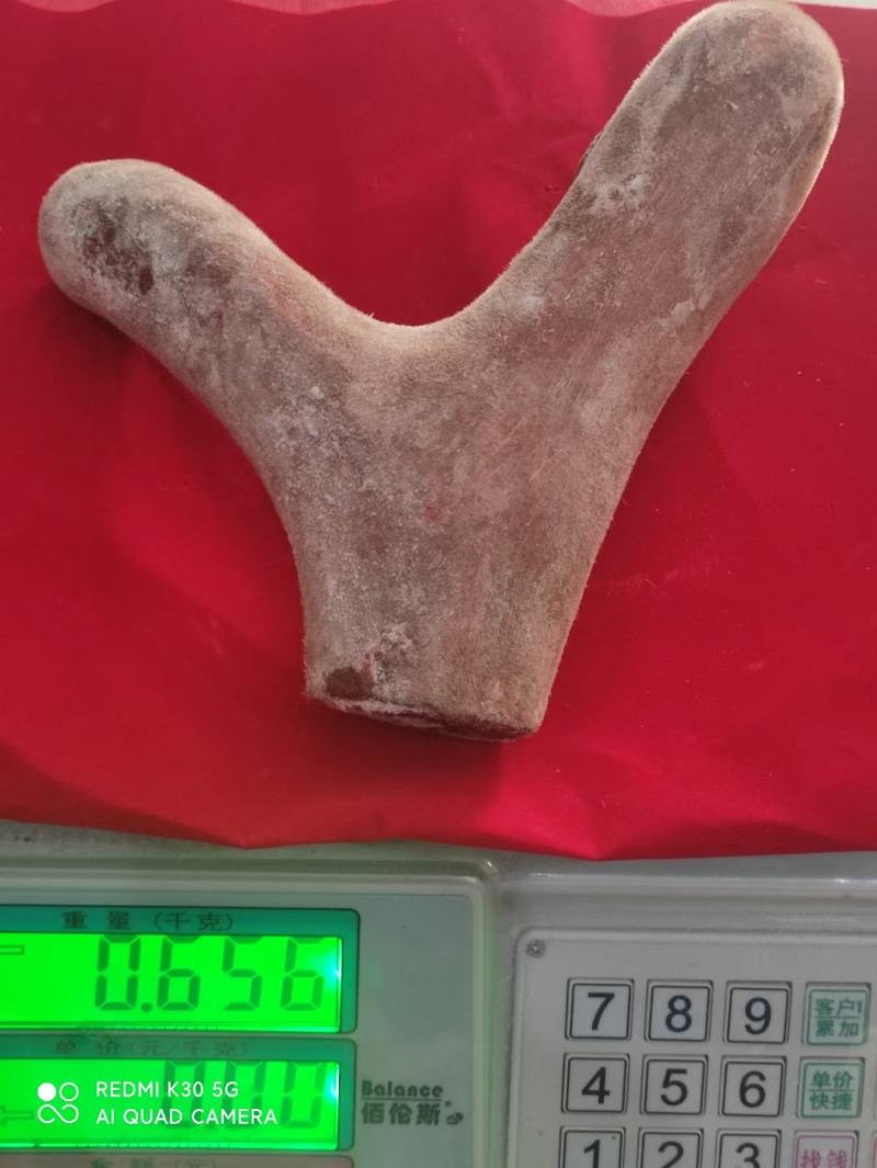 长白山梅花鹿鲜鹿茸各种规格一手货源量大优惠