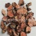 【统货小花红景天】@【同欢药材】中药材批发供应