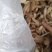 自种的鸡腿菇，质优价廉