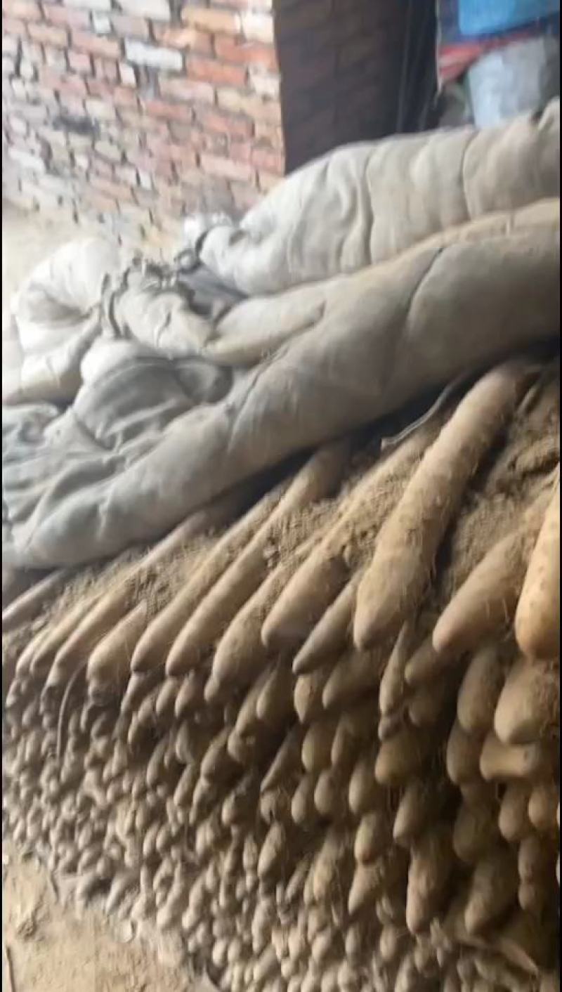 白玉通货
